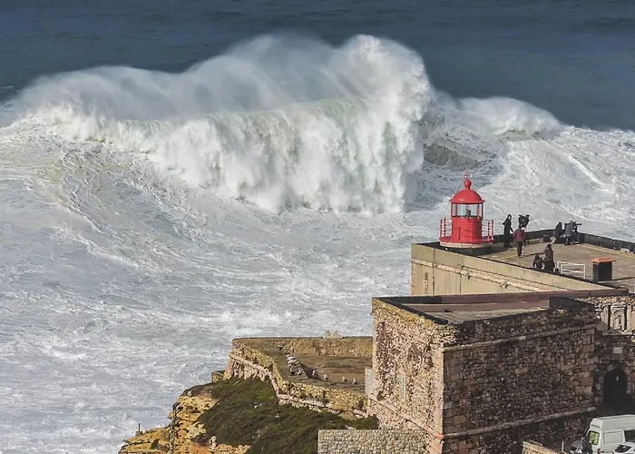 7 Saias - Centro Πανσιόν 3*